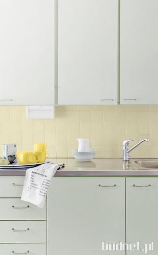 Tikkurila Everal Aqua